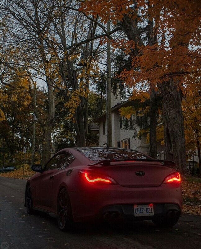 LightExcel Genesis Coupe Tail Lights OEM Tail Lights Level 1 *BOXING DAY SPECIAL* Genesis Coupe Custom OEM Tail Lights Level 1